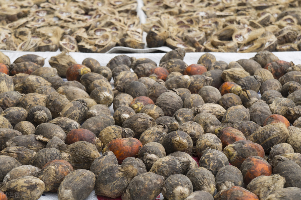 小孩吃槟榔有什么危害,木糖醇槟榔吃了会有危害吗