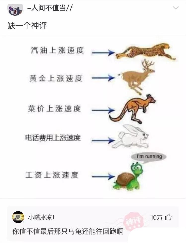 神回复:用日本的*旗国**擦屁股犯法吗?神评绝了,让我大开眼界