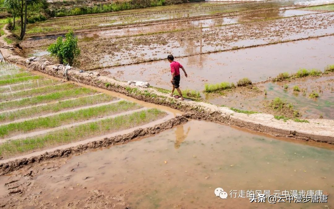 越江码头轮渡,越江轮渡在哪里