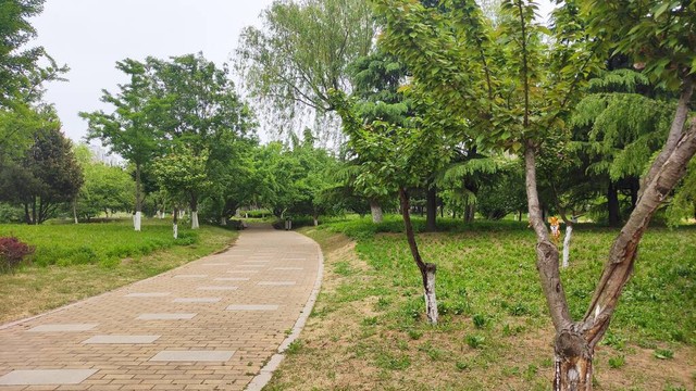 婚姻过不下去了怎么挽回,婚姻难圆满怎么化解