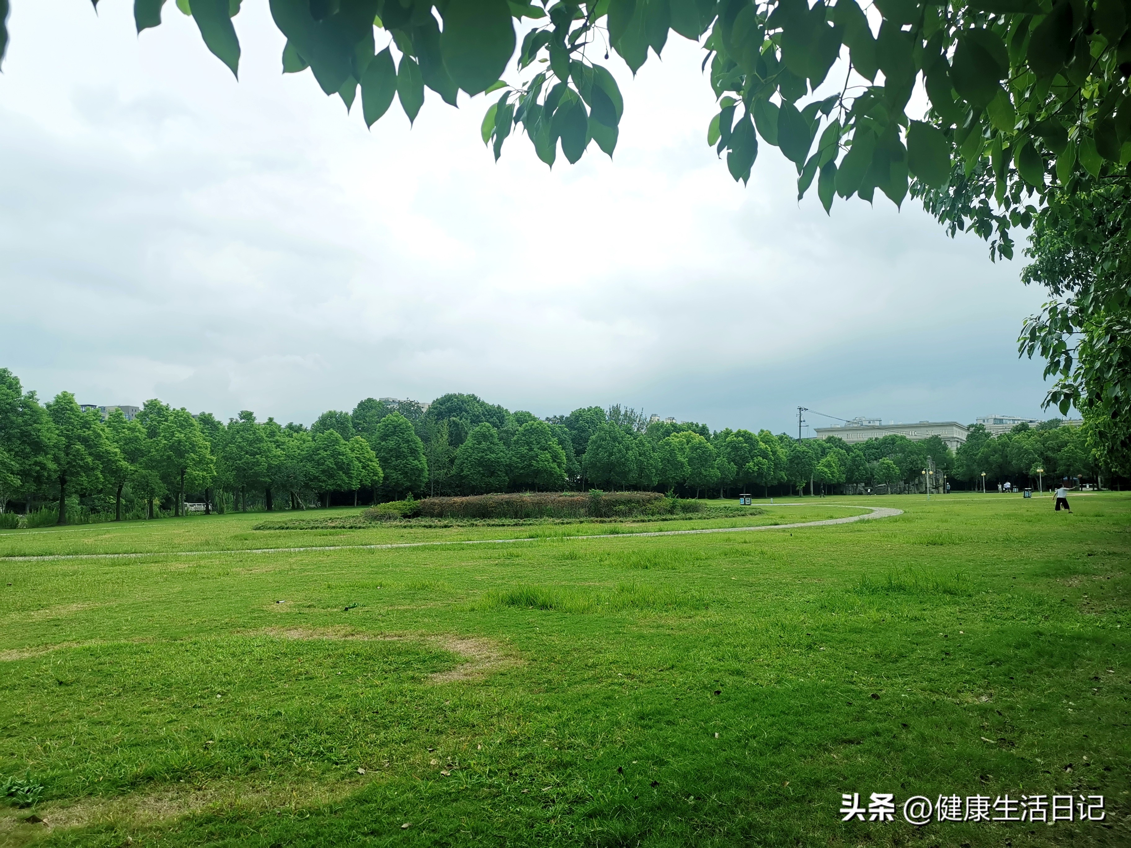 上海三林的公园,上海浦东三林公园在哪里