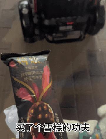 狗子坐飞机一秒钟被亲了八次，毛都快撸秃了…空姐：是不是轮到我