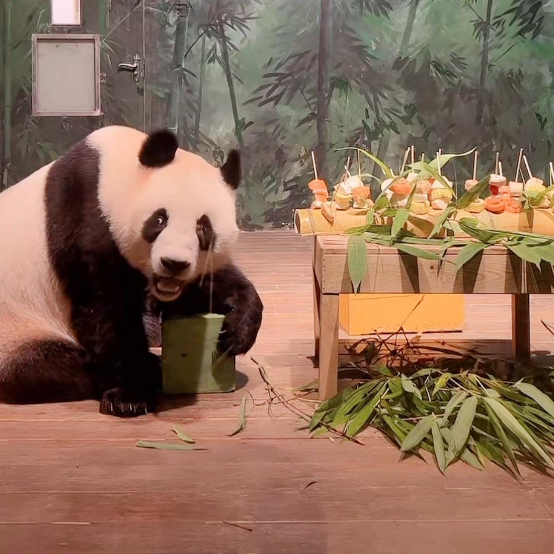 6.6夜播录屏(一)小国庆不太会撸串哦🤭视频来源直播间