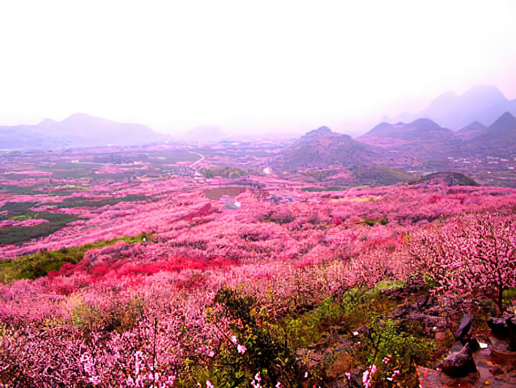 桃花屋里种桃树诗词,桃花源里桃花香诗词