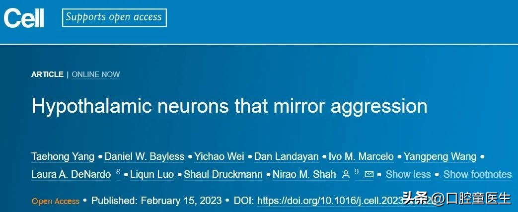 研究发现人之所以爱看热闹是因为围观者的大脑会同样兴奋