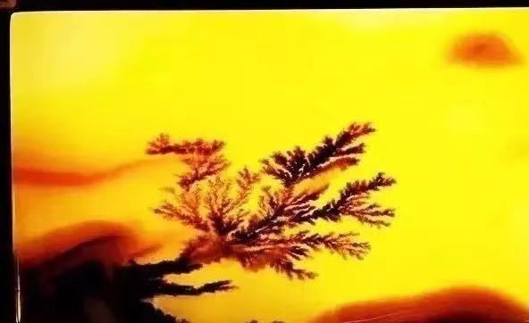 带水草黄龙玉值多少钱,招财黄龙玉