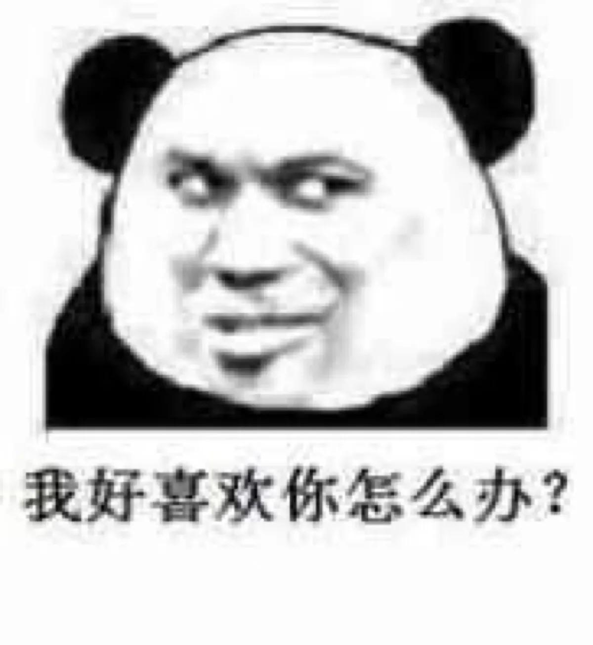 表情包我也得想办法整一个,表情包我能有什么坏心思呢