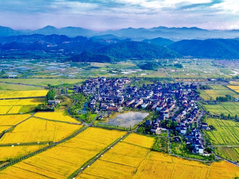 杭州西湖微信头像图片,杭州风景图片头像