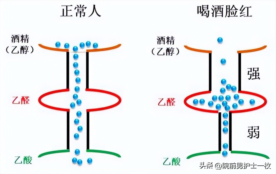 喝酒人脸红是过敏吗,喝酒脸红的人是不是基因有问题