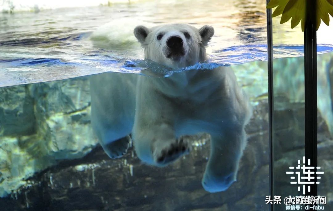 大连附近一日游旅游景点大全,大连哪里更好玩一日游景点