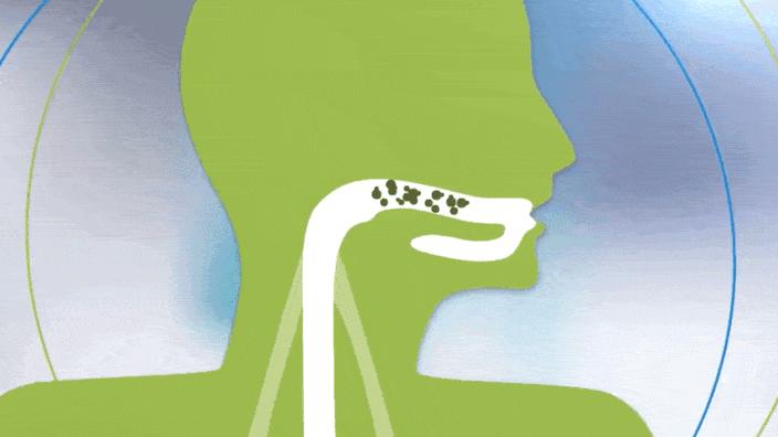 口臭吃什么食物能缓解呀,口臭肚子胀吃什么食物可以缓解