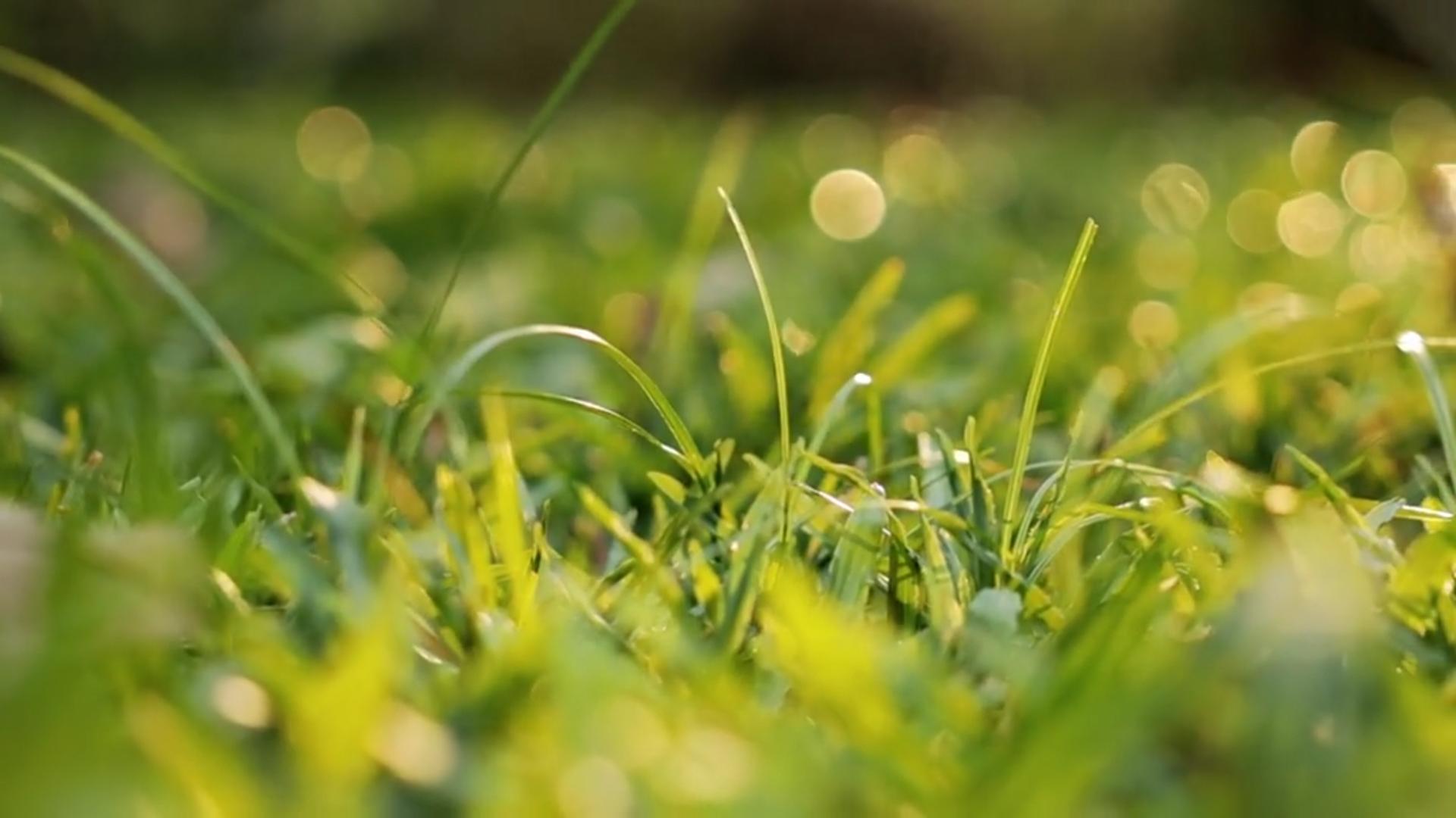 办公室用什么灯对眼睛好,办公室灯光亮度对眼睛有什么影响