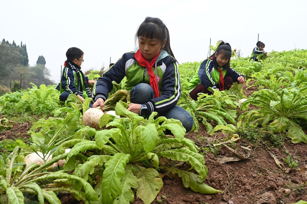 中考家长该为孩子怎么规划,中考完后如何规划孩子的学习