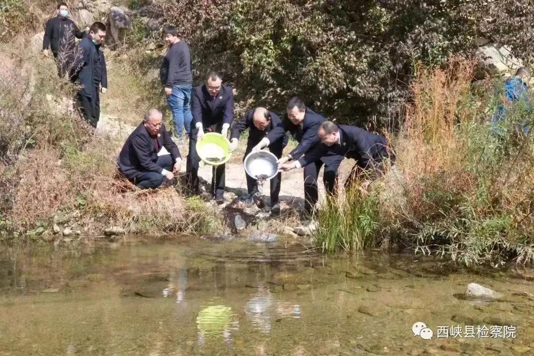 河南西峡：2022年开展大鲵增殖放流暨禁用渔具集中销毁活动