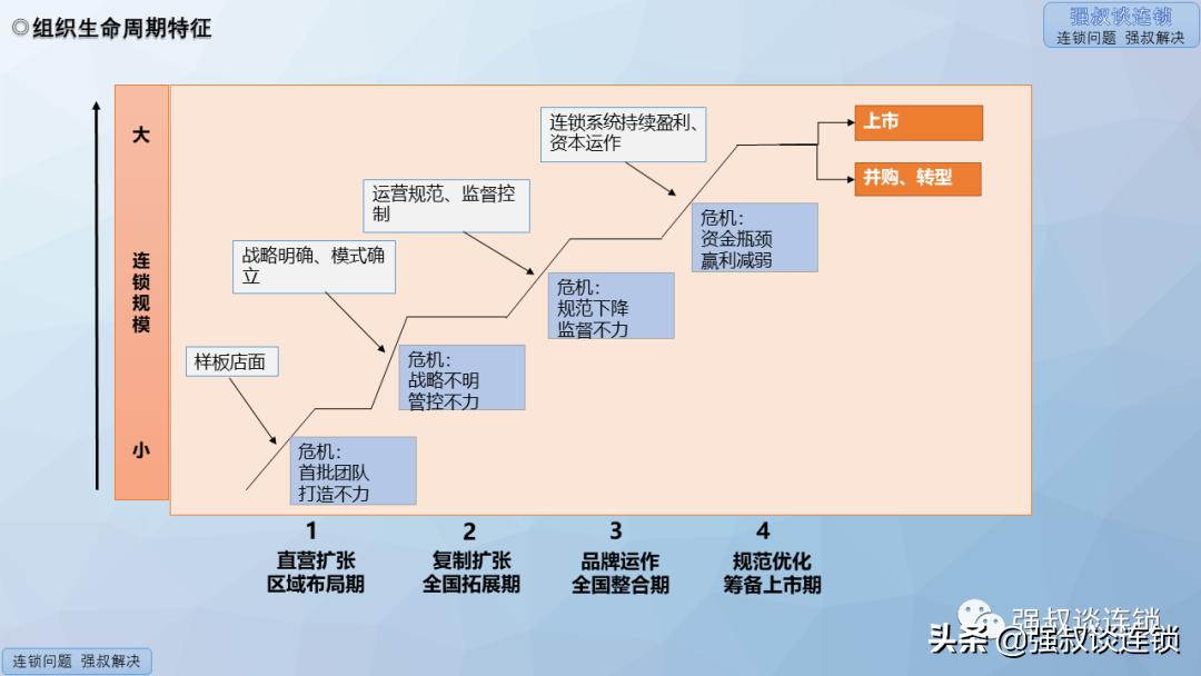 连锁营销活动方案ppt,连锁公司组织架构及运营模式