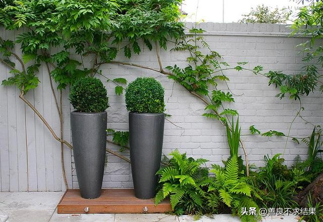 这是一个小院子用英语怎么说,这是一个小花园英语