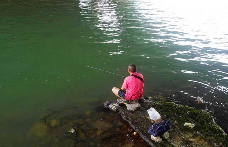 有了钓鱼证可以钓什么,现在钓鱼怎么才算违规钓鱼