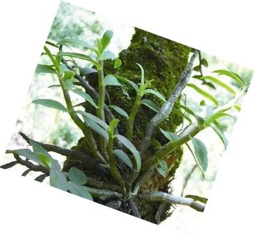 关于贵州省遵义的美食,贵州遵义有啥特产好吃