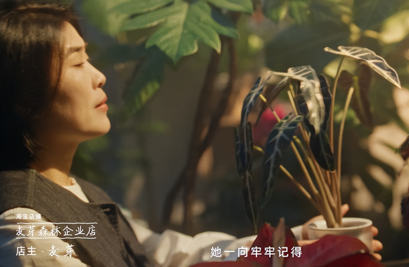 程序员卖大米宝妈走上创业路他们正在重新定义淘宝卖家