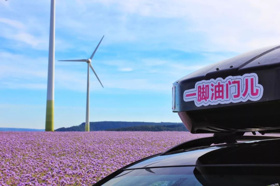 开车去欧洲的路上视频,开车去欧洲的完整视频