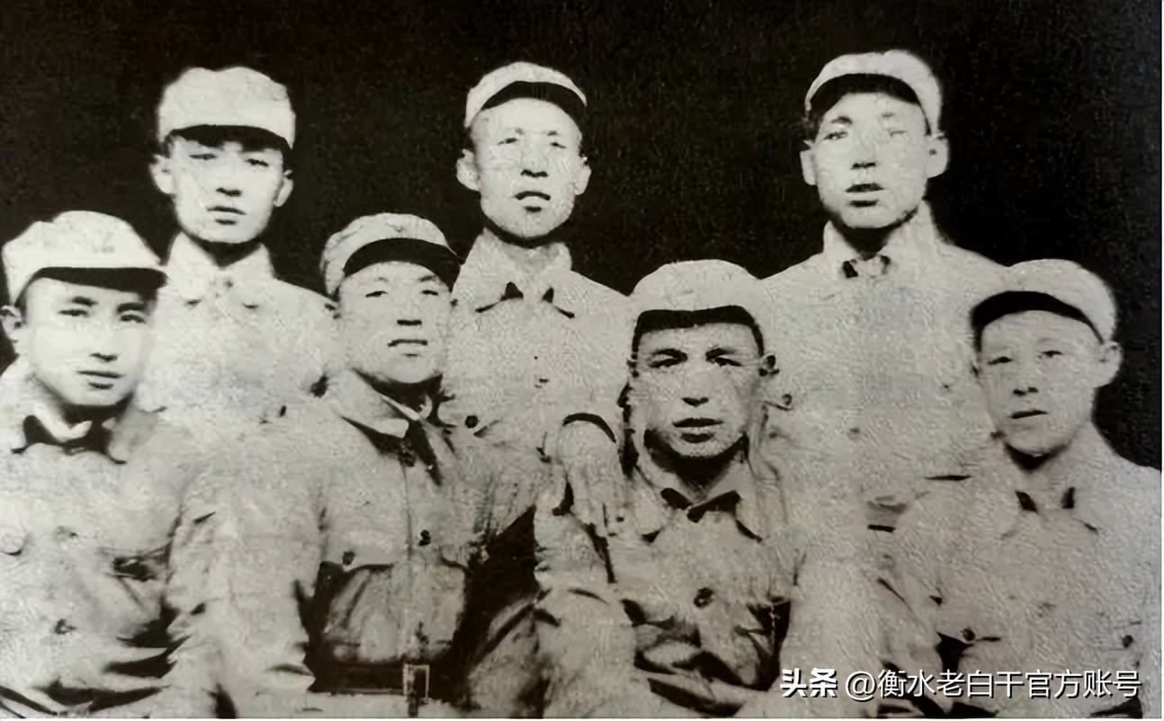 红色记忆衡水老白干,衡水老白干历史名酒