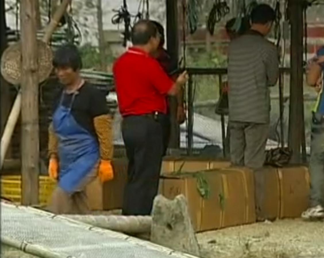 中国“鲨鱼村”的聪明商人：加工迷你“小鲨鱼”，年入3000万