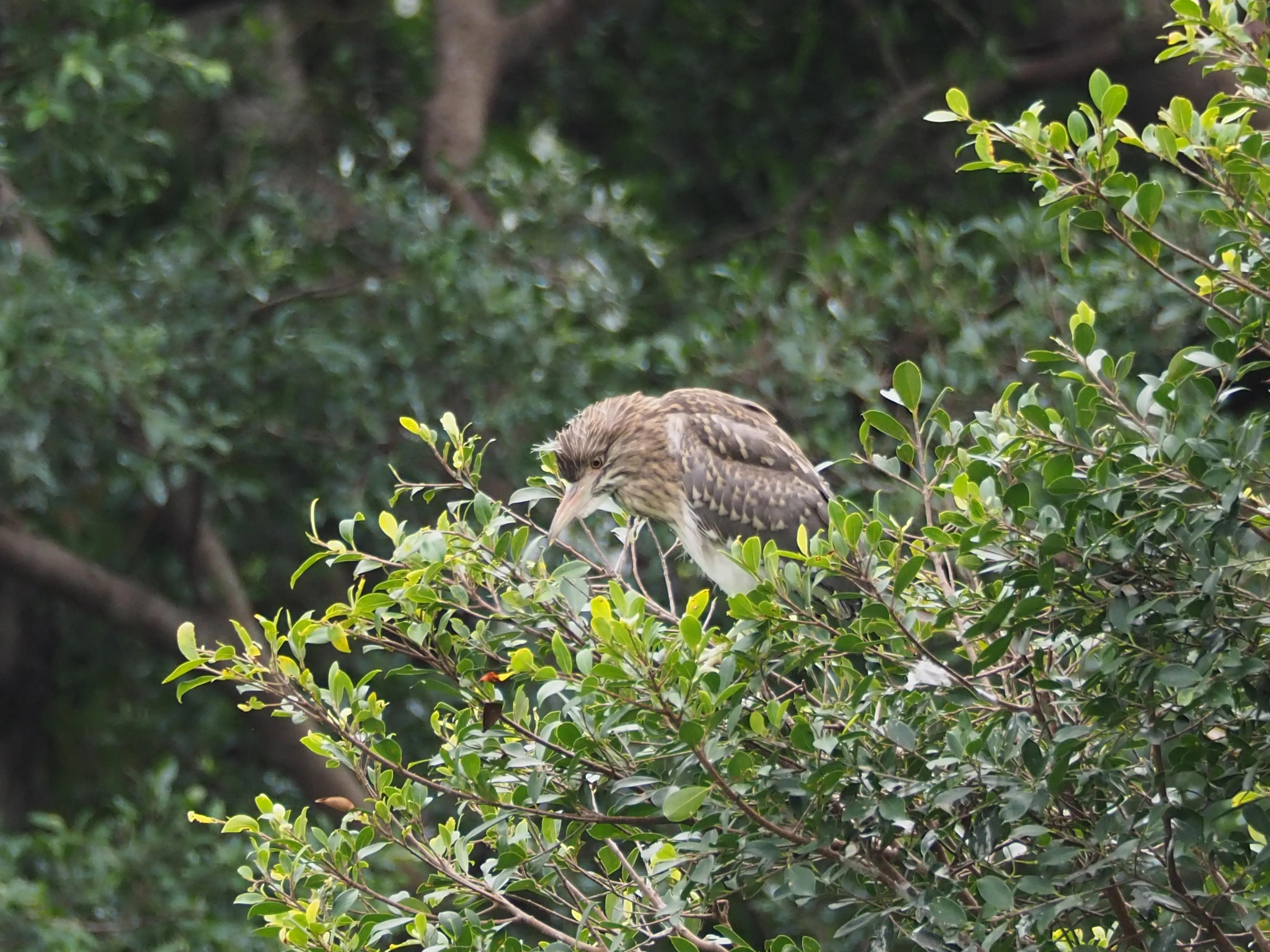 五一假期，O记实录