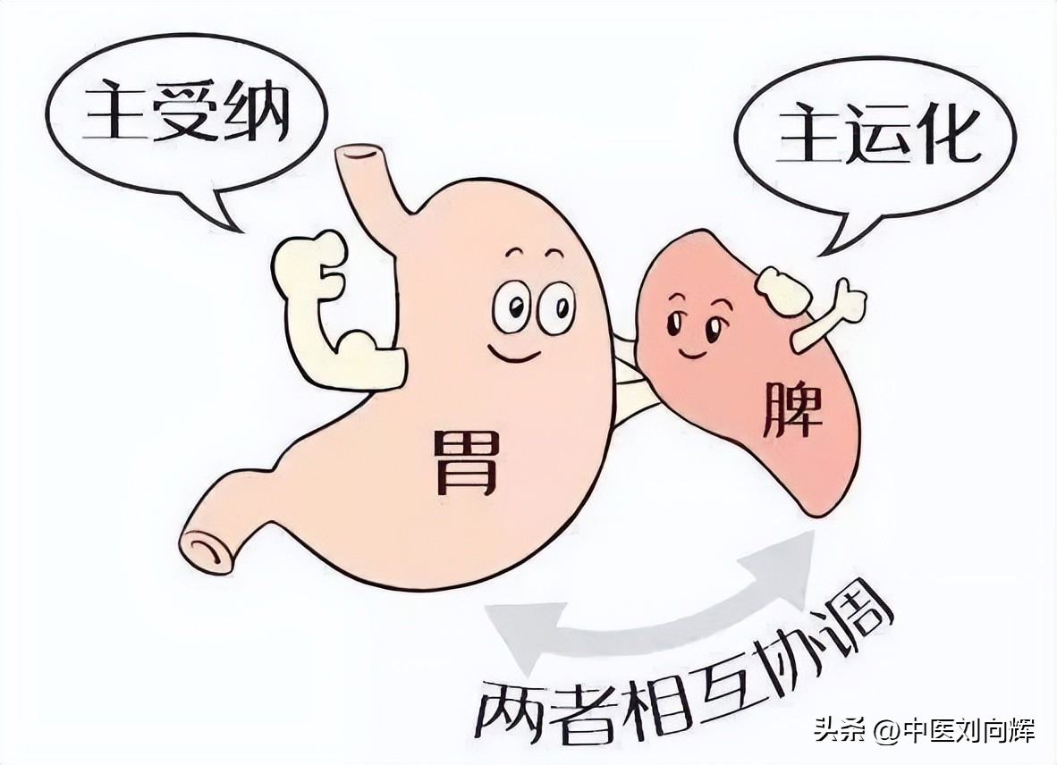 补脾益肾丸与健脾益肠丸的区别,补脾益肾口服液有补脾作用吗