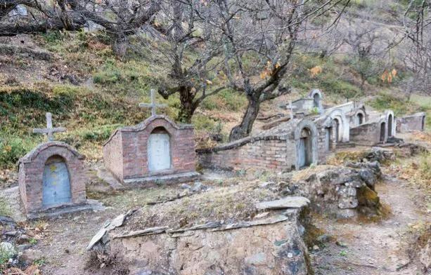 坟地被树遮阴好吗,坟头有树遮阴风水好不好