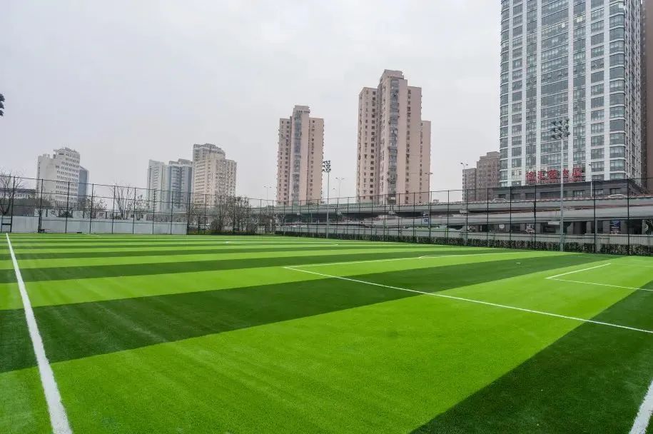 上海万体馆,上海建筑可阅读项目再升级