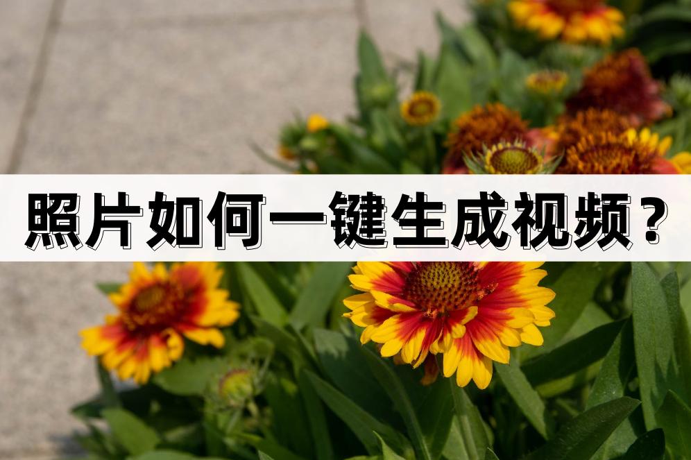 照片生成视频的软件,照片如何一键生成唱歌视频