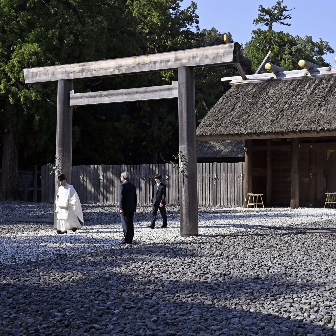 日本皇室悠仁小王子长大,日本悠仁小王子出生日期