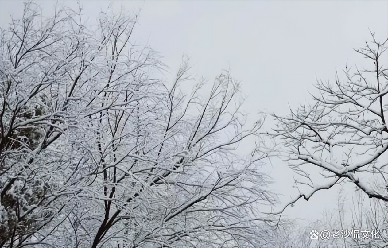 早春的诗句古诗大全,十首优美的古诗春