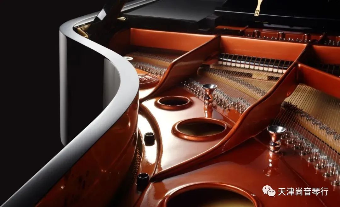 实木顶杆和ABS塑料哪个好？尚音琴行告诉您