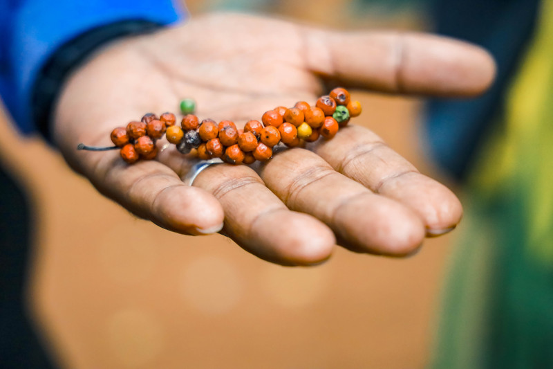 斯里兰卡旅游攻略必去景点,斯里兰卡旅游攻略最佳时间