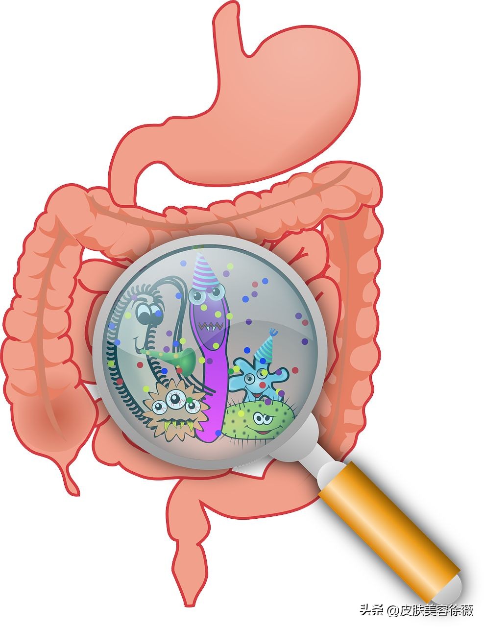 益生菌背后的秘密,益生菌被打假