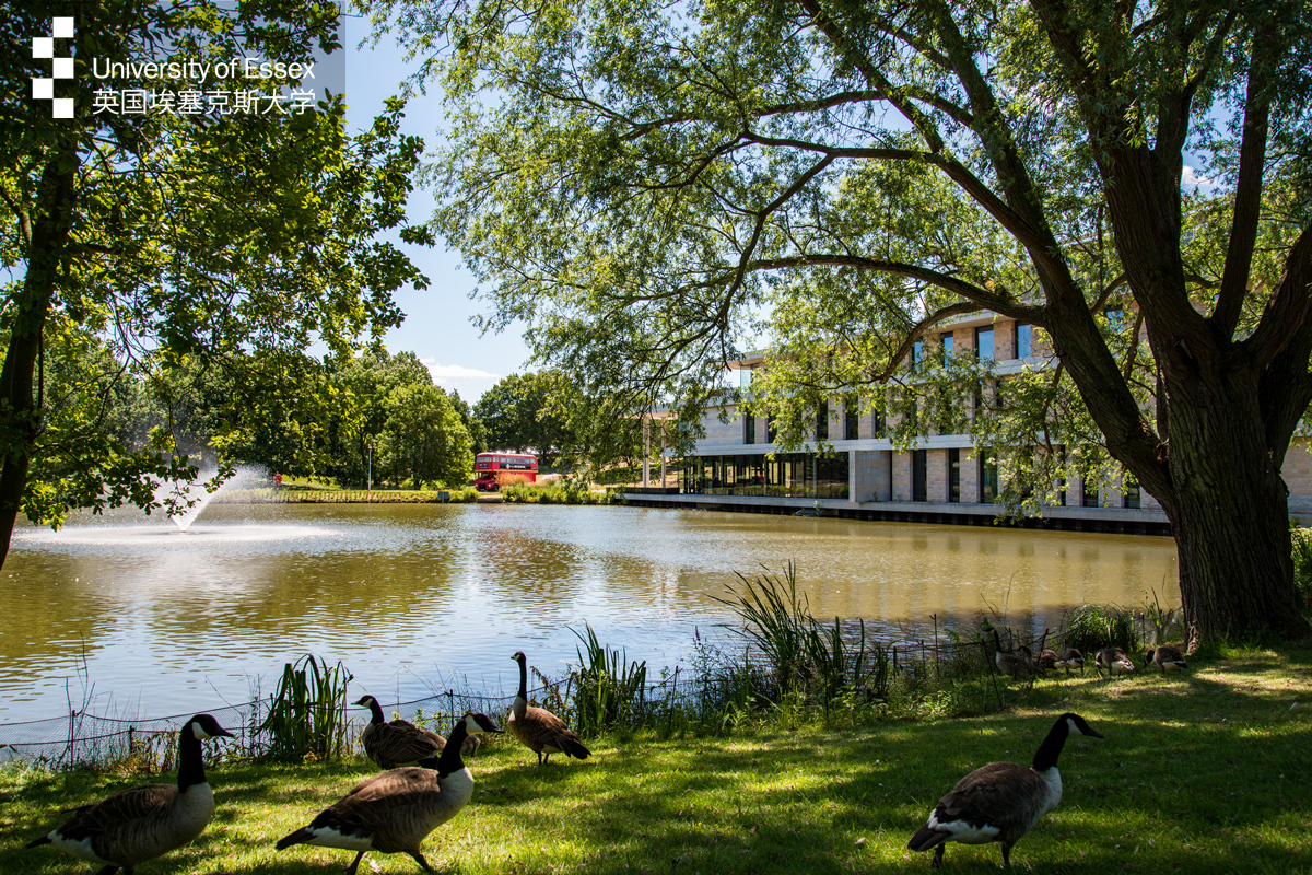 埃塞克斯大学英国,埃塞克斯大学研究型