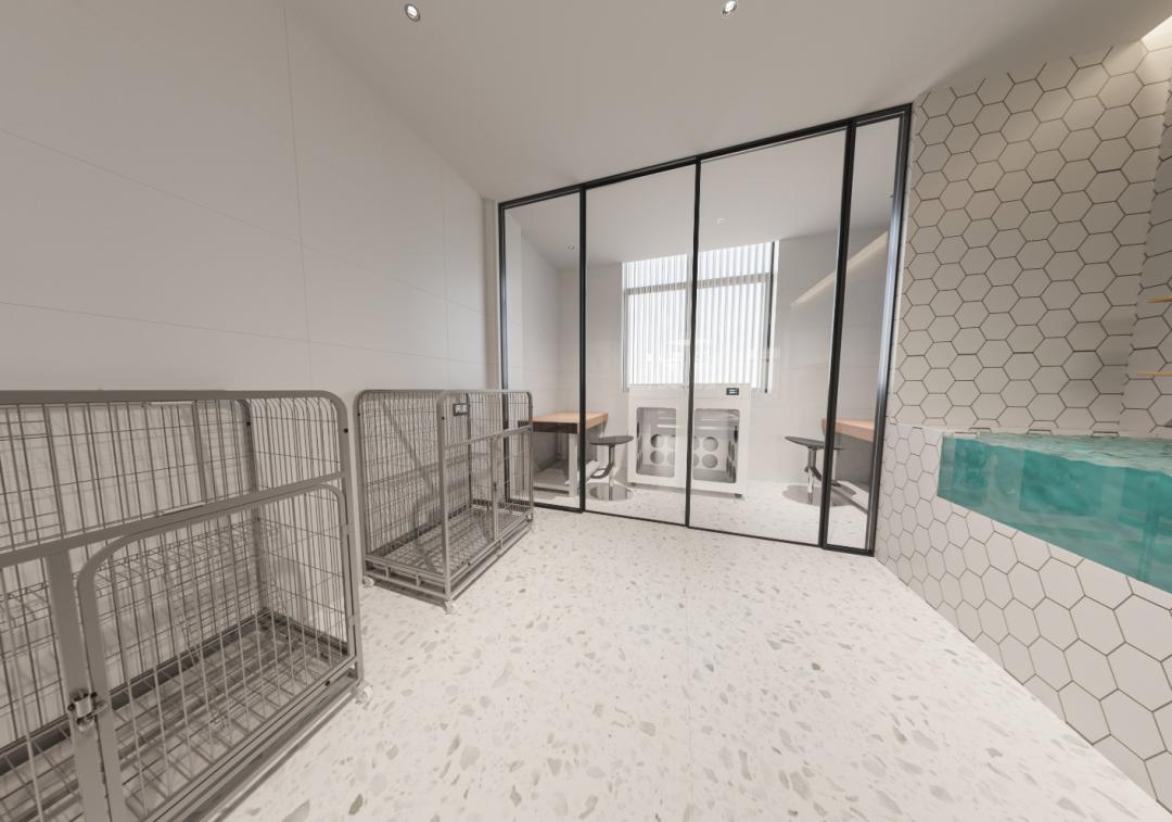 宠物店设计文字,宠物店设计功能区域