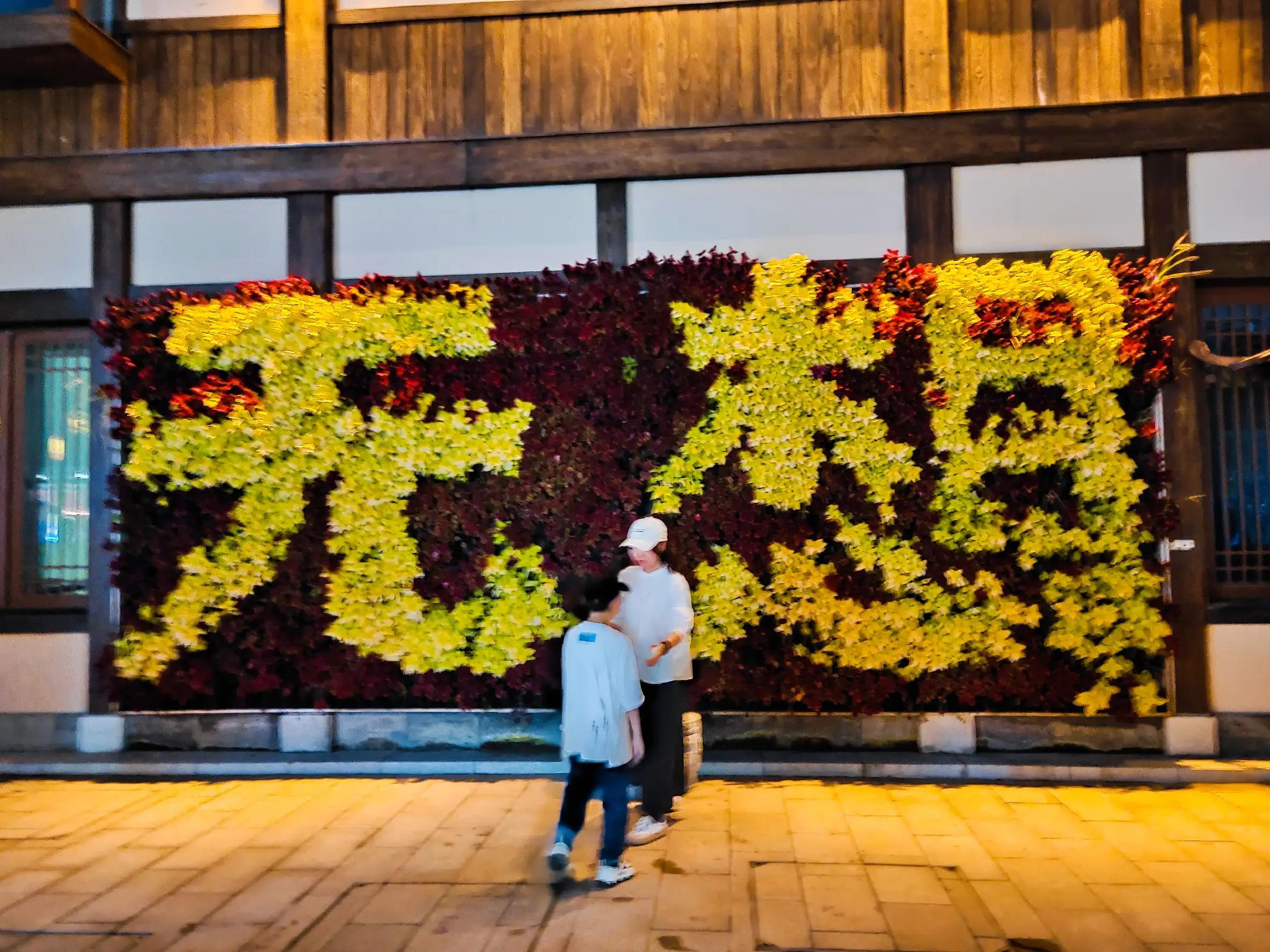 溧水无想山民宿预订,南京溧水无想山露营地点
