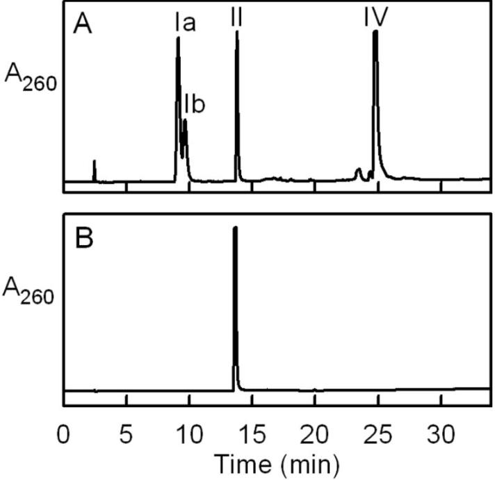 探究移动色氨酸是*霉素黄**抗生素合成黄素酶中内在电荷转移供体应用