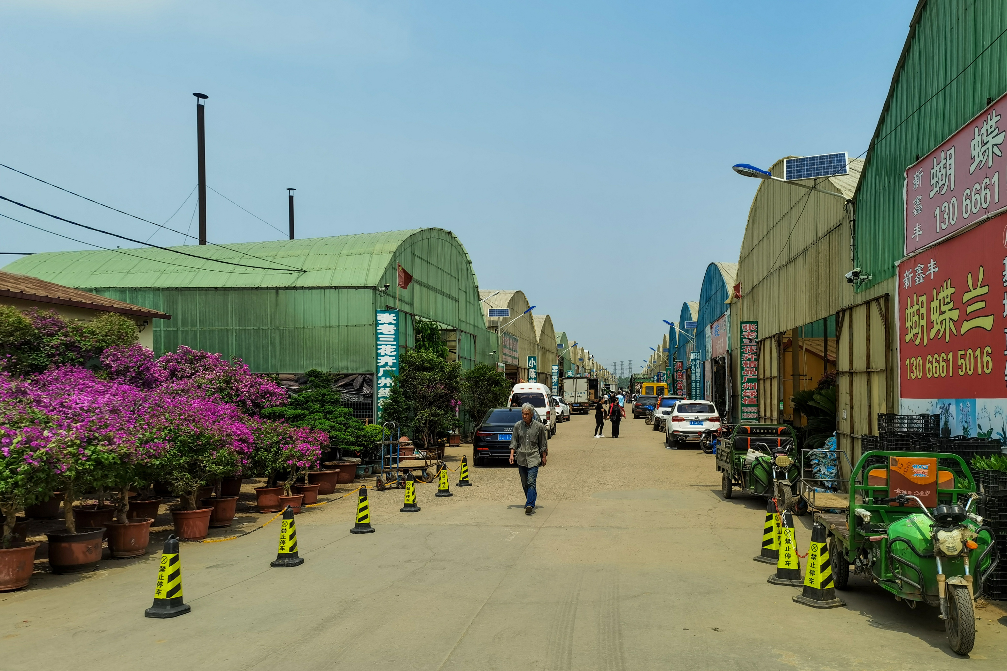 沈阳南井花卉市场,沈阳市南井花卉市场地址