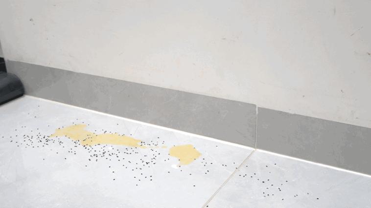 米博q7pro洗地机真实测评直播,米博洗地机q7pro和q7选哪个