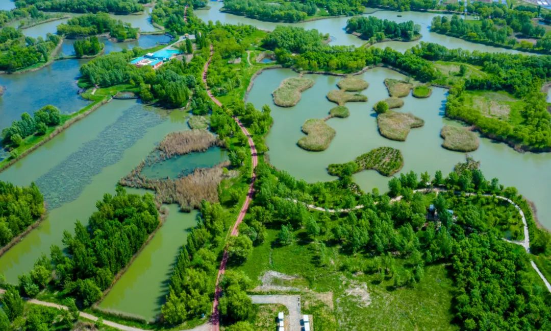 济南西部湿地公园旅游攻略,济南春游的好去处湿地公园