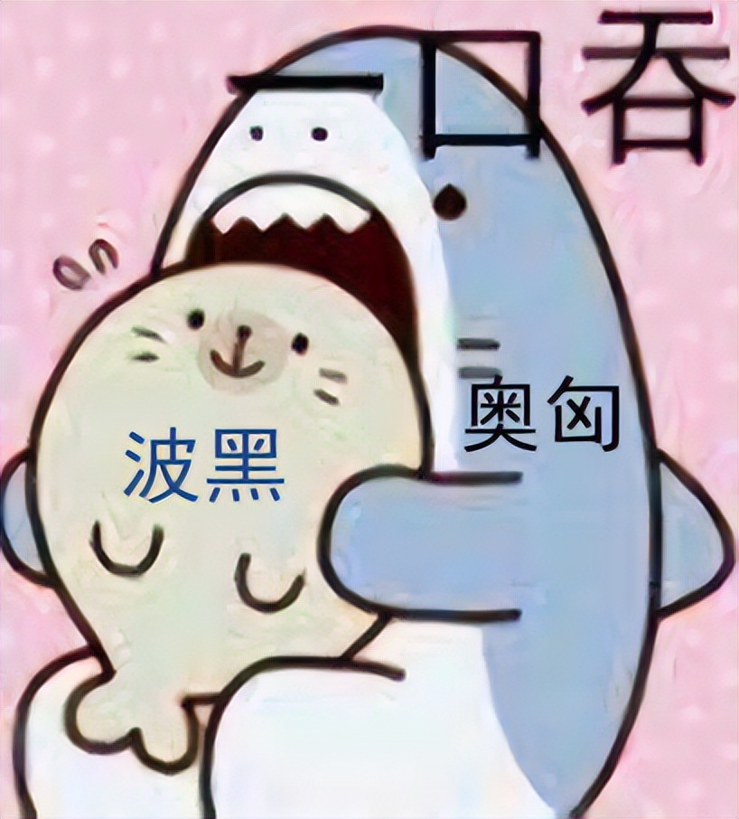 第一次世界大战是怎么打起来的,第一次世界大战波兰被打的原因