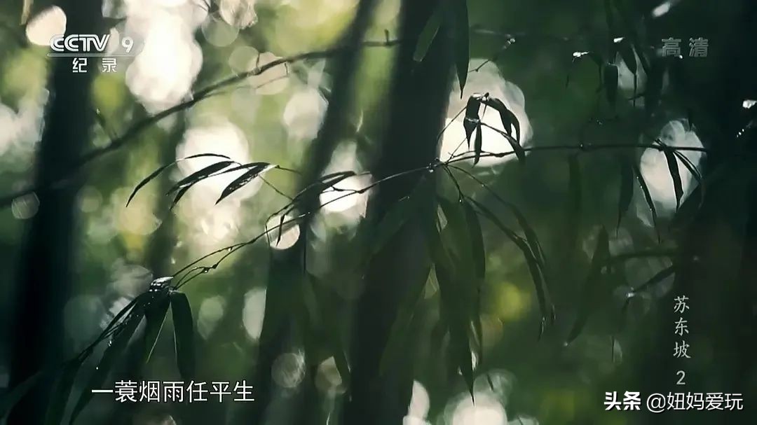 这几部口碑爆棚的宝藏纪录片,国庆孩子必看的8部神级纪录片