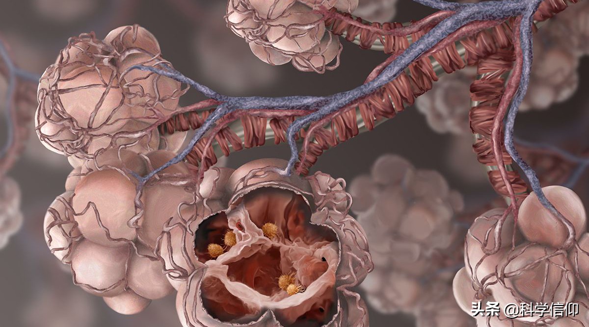 打鼾引起呼吸不畅喉咙干燥,打鼾为什么窒息都不醒过来