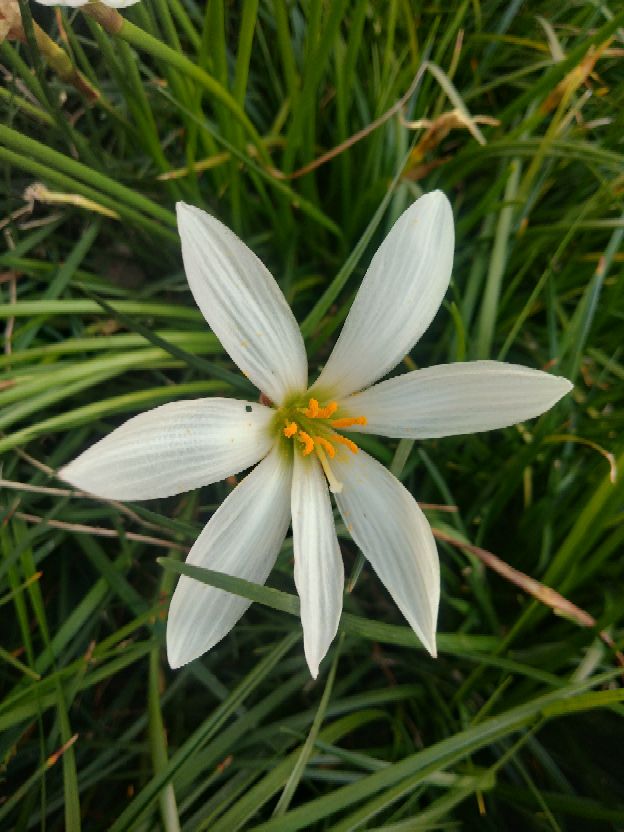 关于灾难夺走生命的感悟,经过意外灾难后的感言