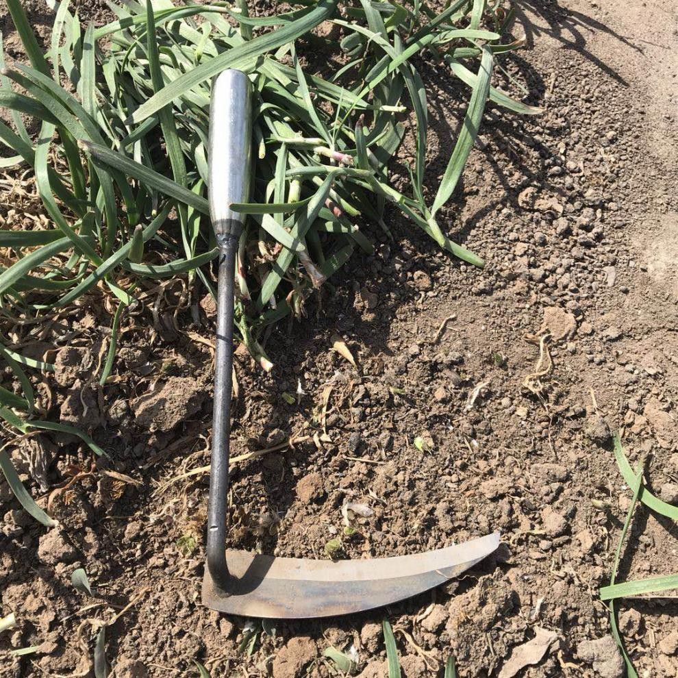 爱奇艺账号封号了怎么办,爱奇艺惹怒2亿vip用户