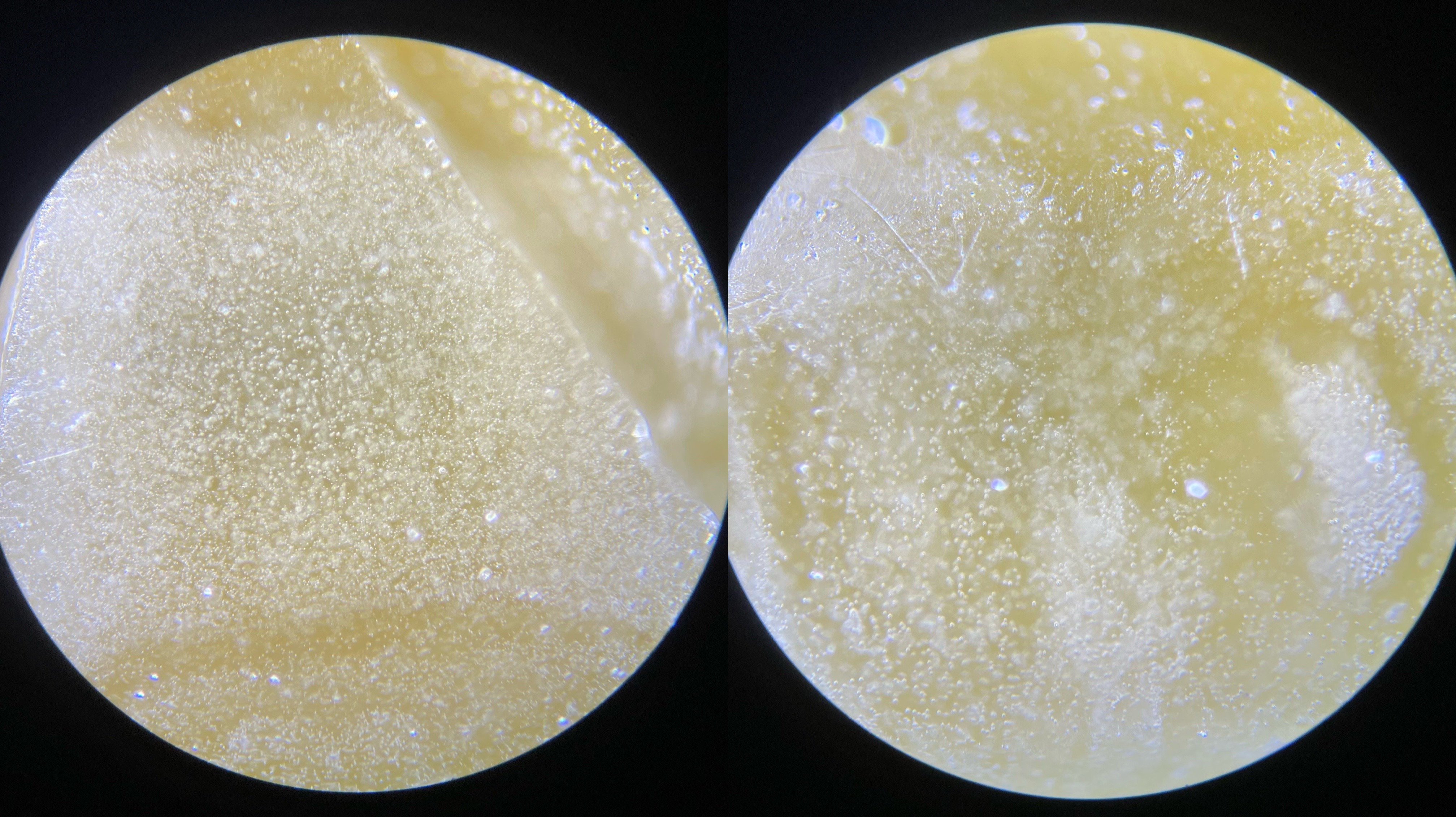 琥珀跟蜜蜡有什么区别哪个好,琥珀和蜜蜡是一样吗有什么区别