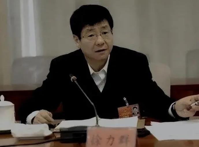 宁夏刘立宁等人恶势力犯罪案,落马官员涉非法持枪罪